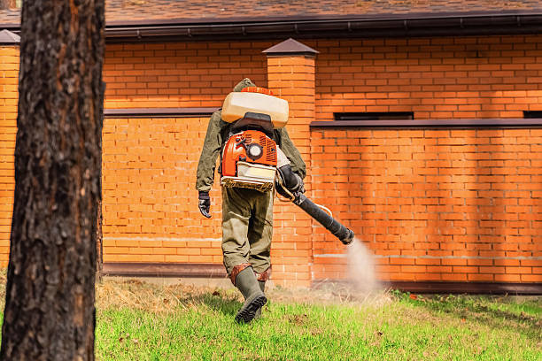 Trusted Termite Control service in Byhalia, MS - Nex Pest Control